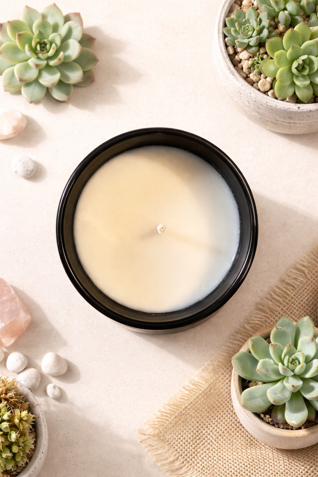 Sugared Succulent 8oz Candle